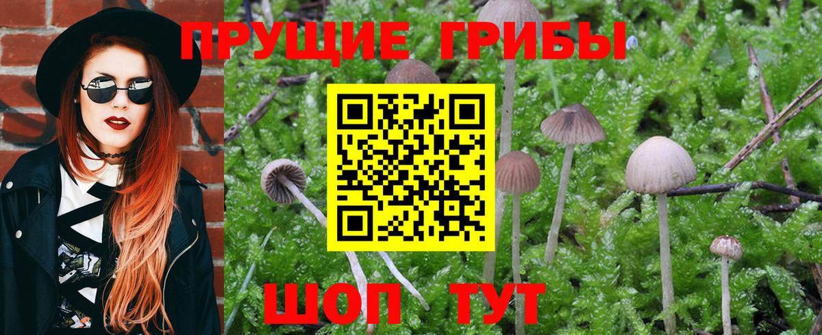 COCAIN  Каннабис  Меф МЯУ МЯУ  Цена  Сосновый Бор  Вход с VPN  Гашиш  Меф МЯУ МЯУ кристаллы 